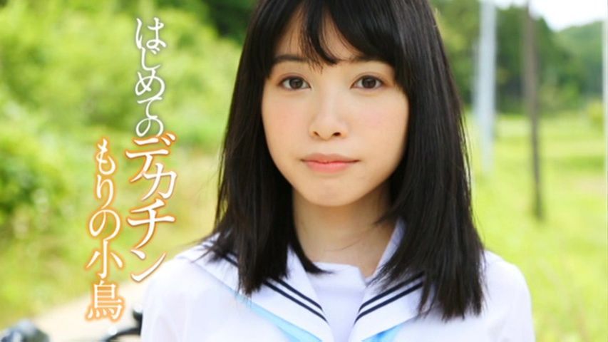 【レビュー】【オススメ】もりの小鳥 はじめてのデカチン